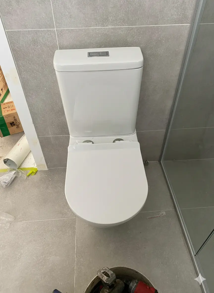 Bathroom Refresh: Seamless Installation of a Back-to-Wall Toilet Suite