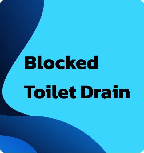 Blocked Toilet Drain Repair - Emergency Plumber Sydney