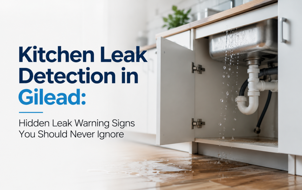 Kitchen Leak Detection in Gilead