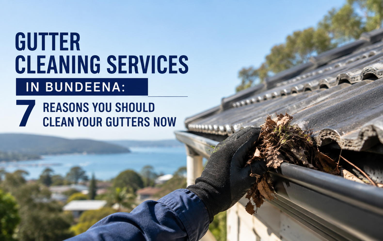 Gutter Cleaning Services